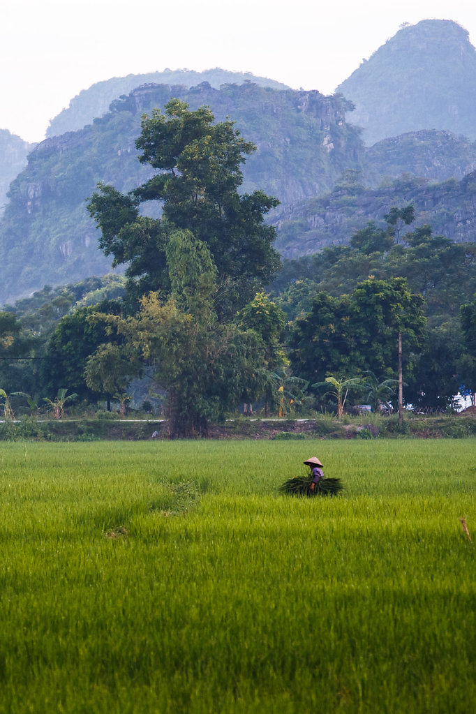 Vietnamese rural idyll