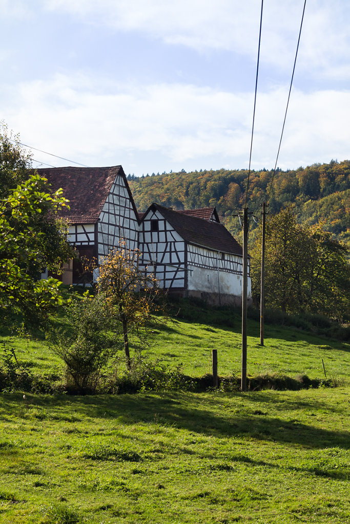 Reichelsheim-5191.jpg